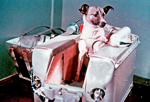 Laika the Space Dog