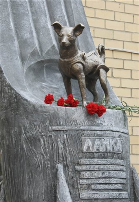Laika monument